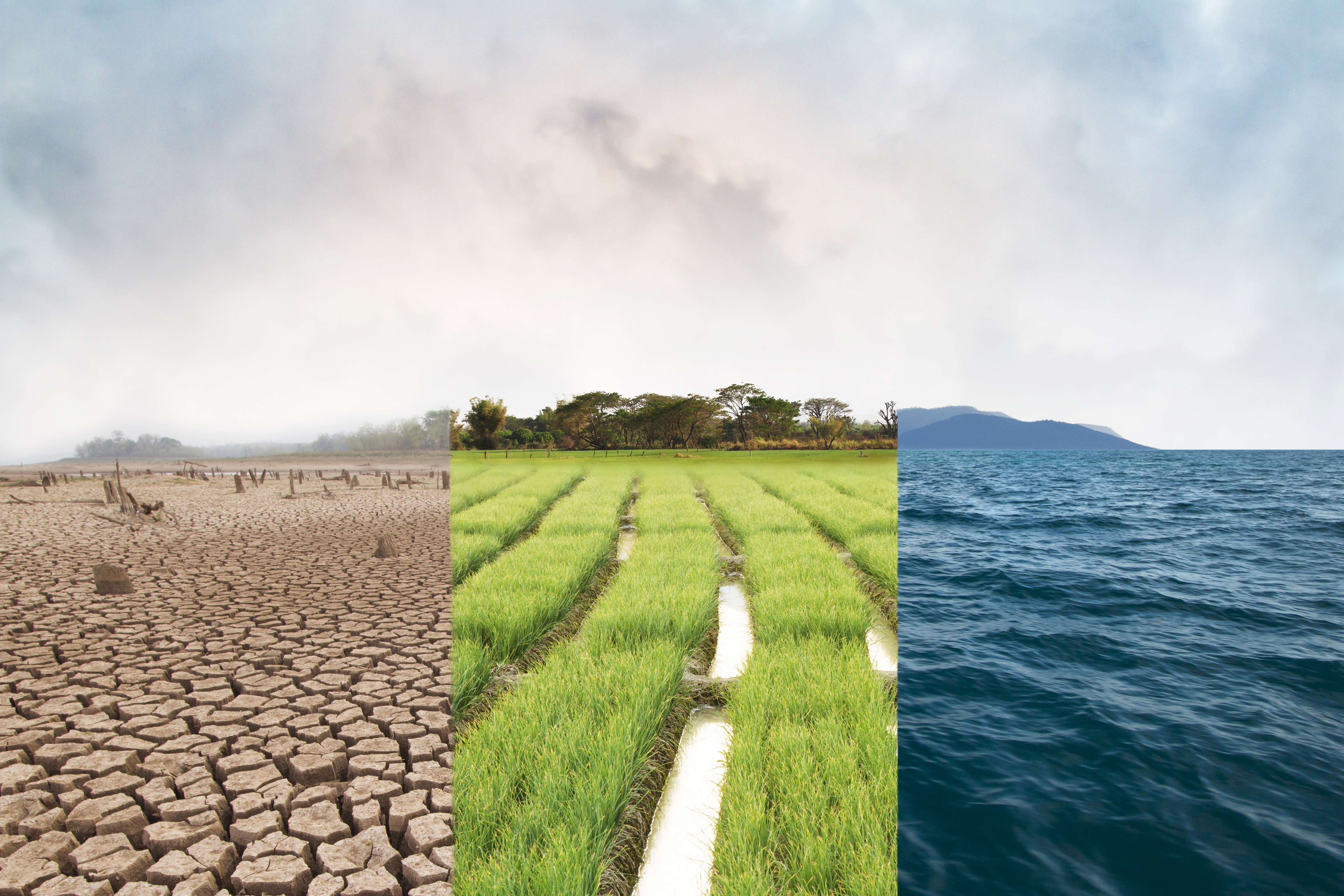Klimawandel, Bildvergleich mit Dürre, Grünes Feld und Ozean-Metapher Naturkatastrophe, Weltklima und Umwelt, Ökologie-System