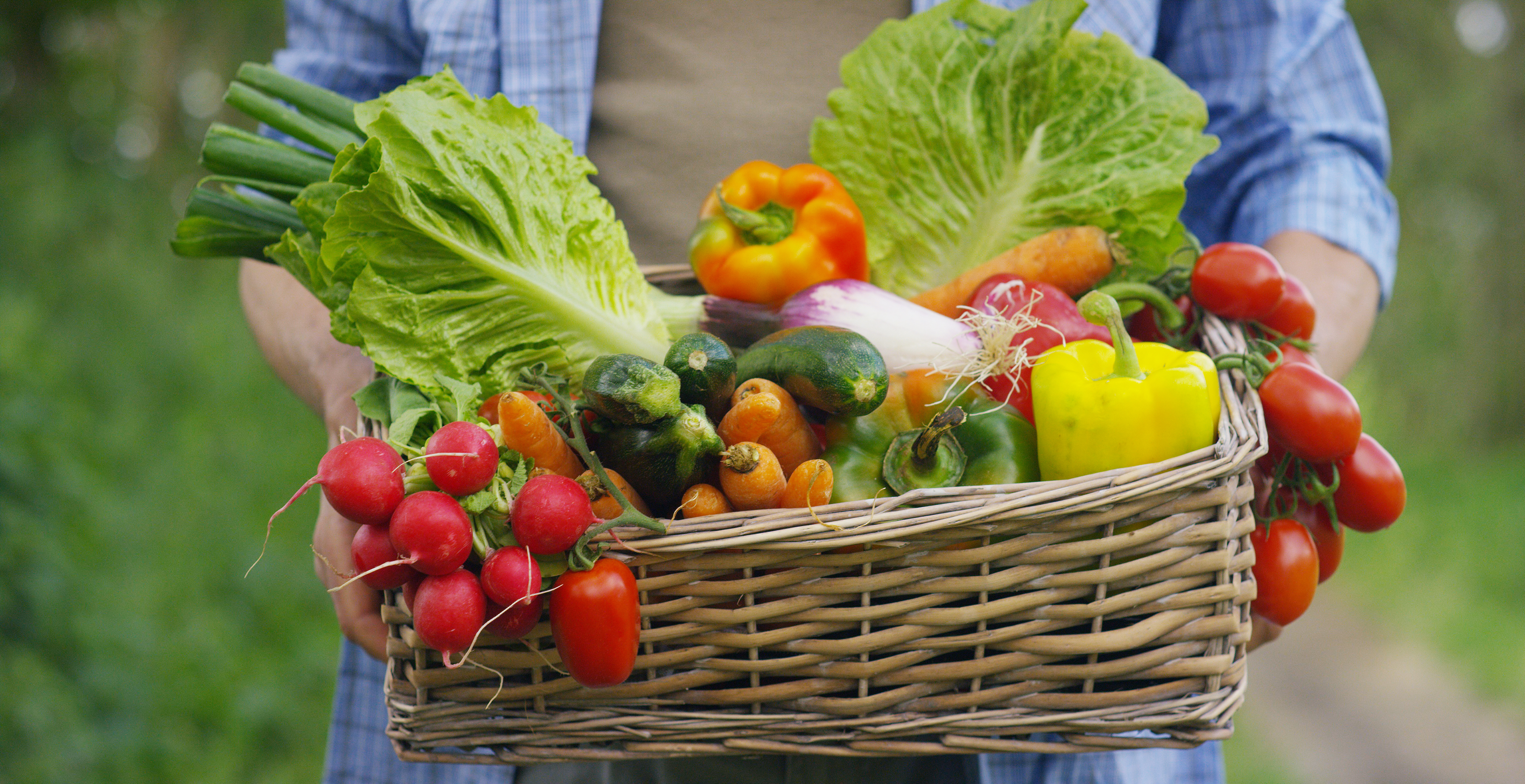 farmer holding fresh vegetables in a basket