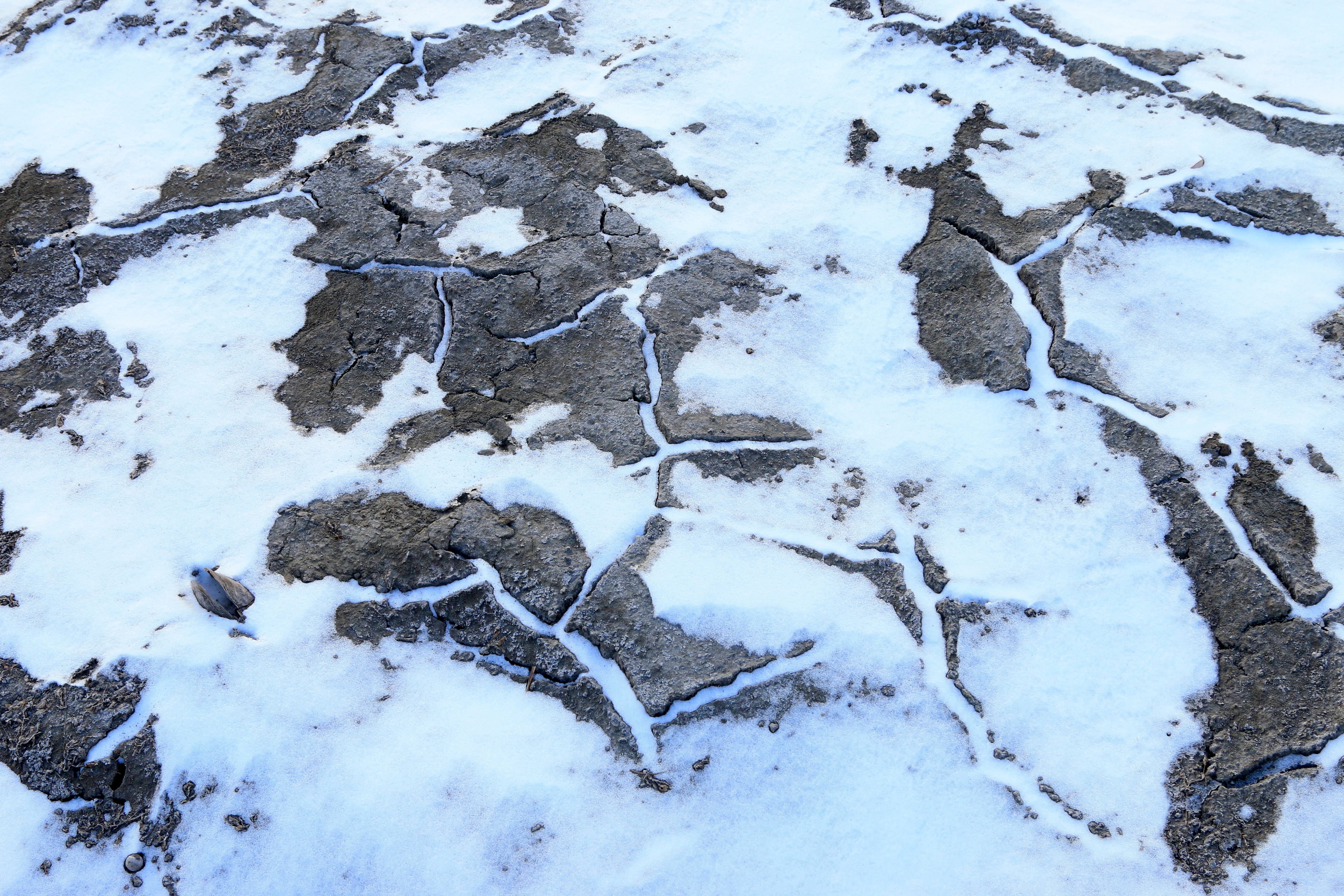Permafrost im Schnee. Polygone, das typische Muster der Permafrostböden, ist zu erkennen.
