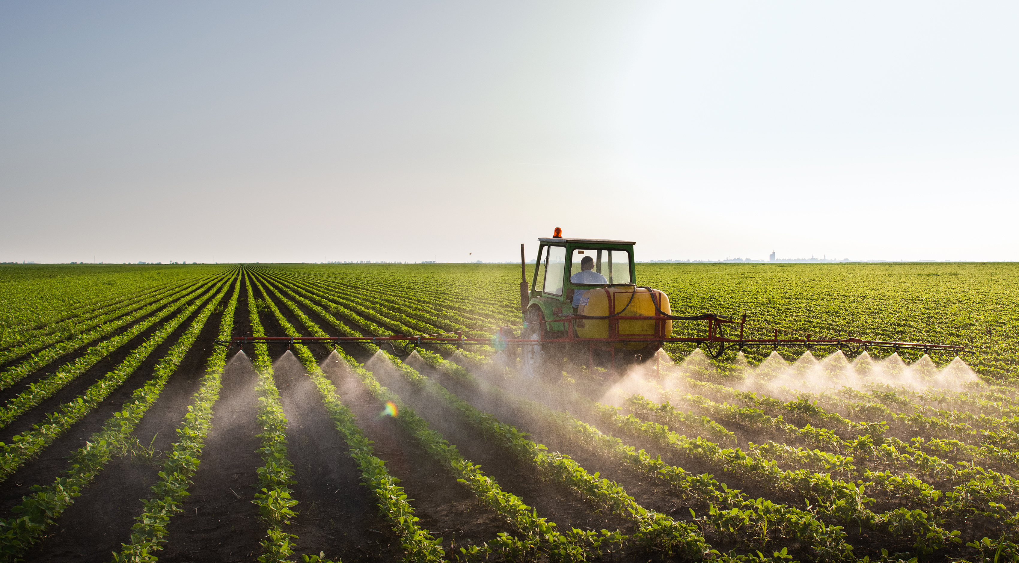 A tractor sprays pesticides on an agricultural field