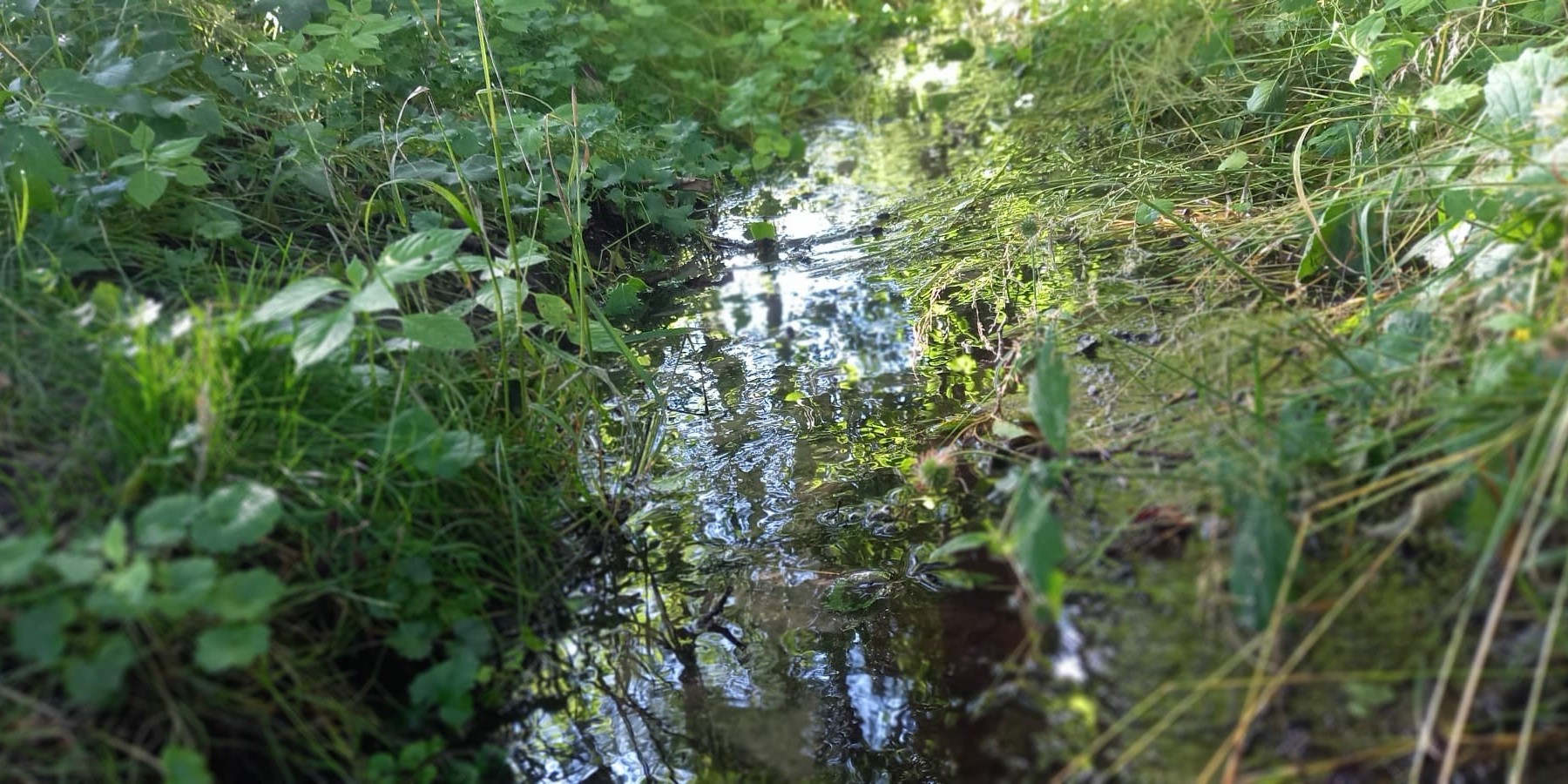 Kleines Fließgewässer in der Uckermark