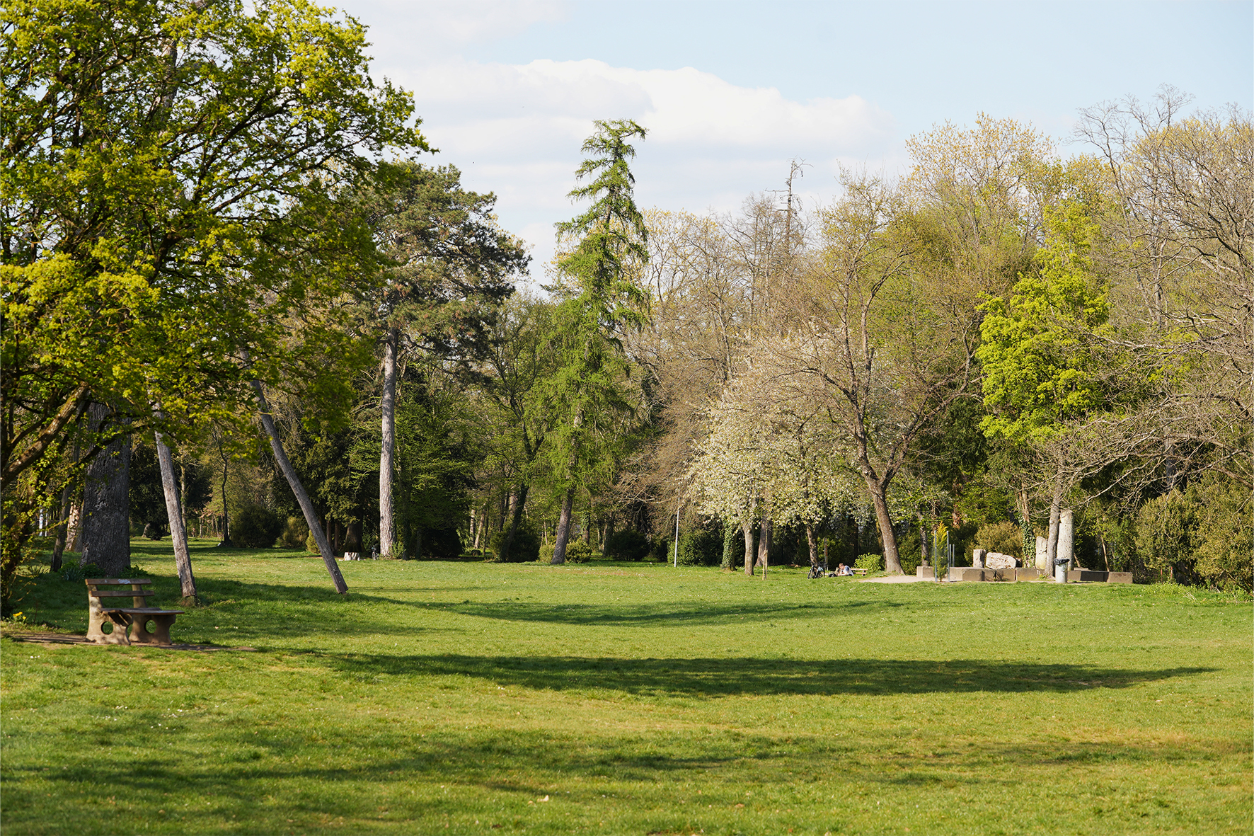 Wiese mit Bäumen aus dem Forschungsprojekt URBORETUM