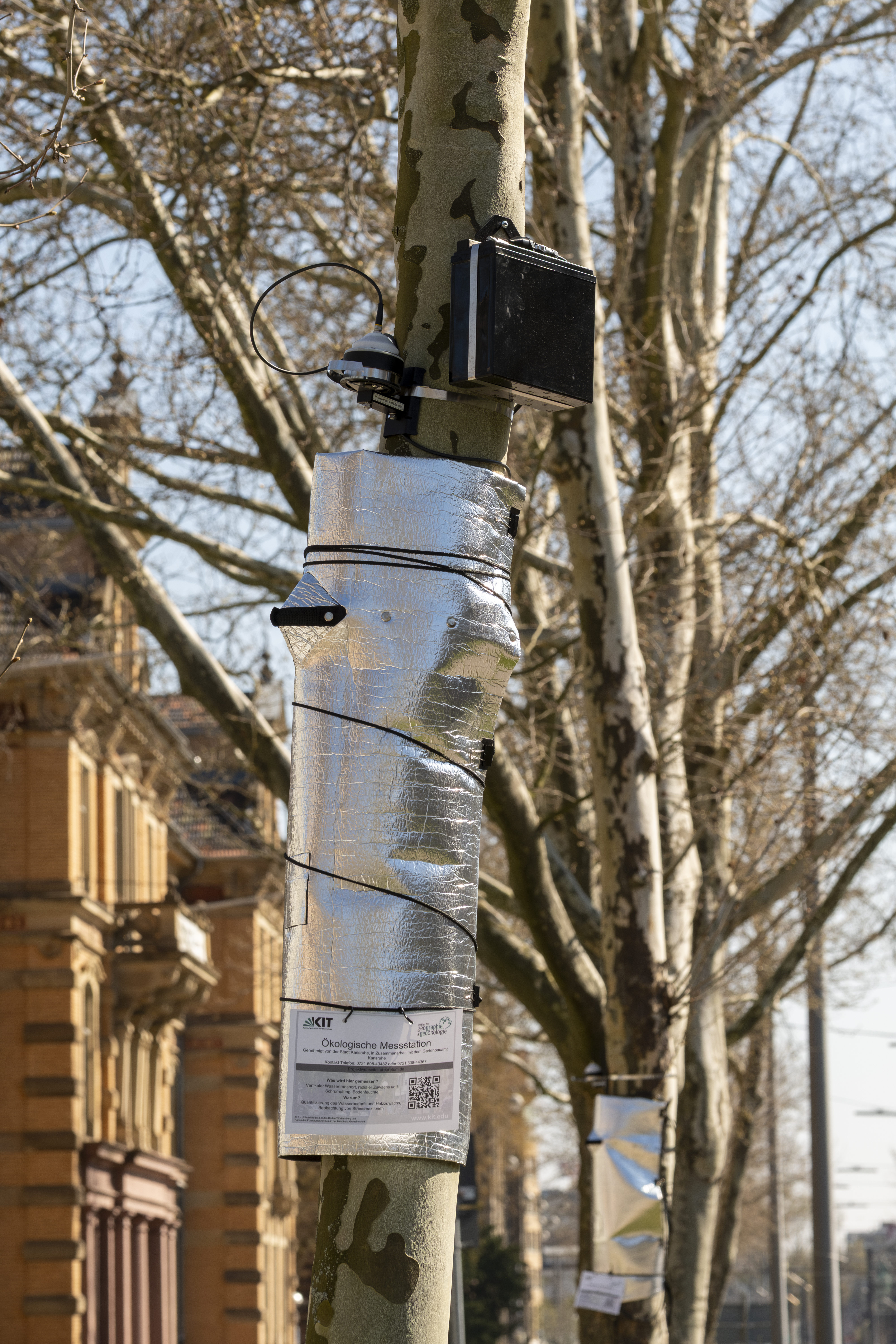 Stadtbaum mit Sensoren