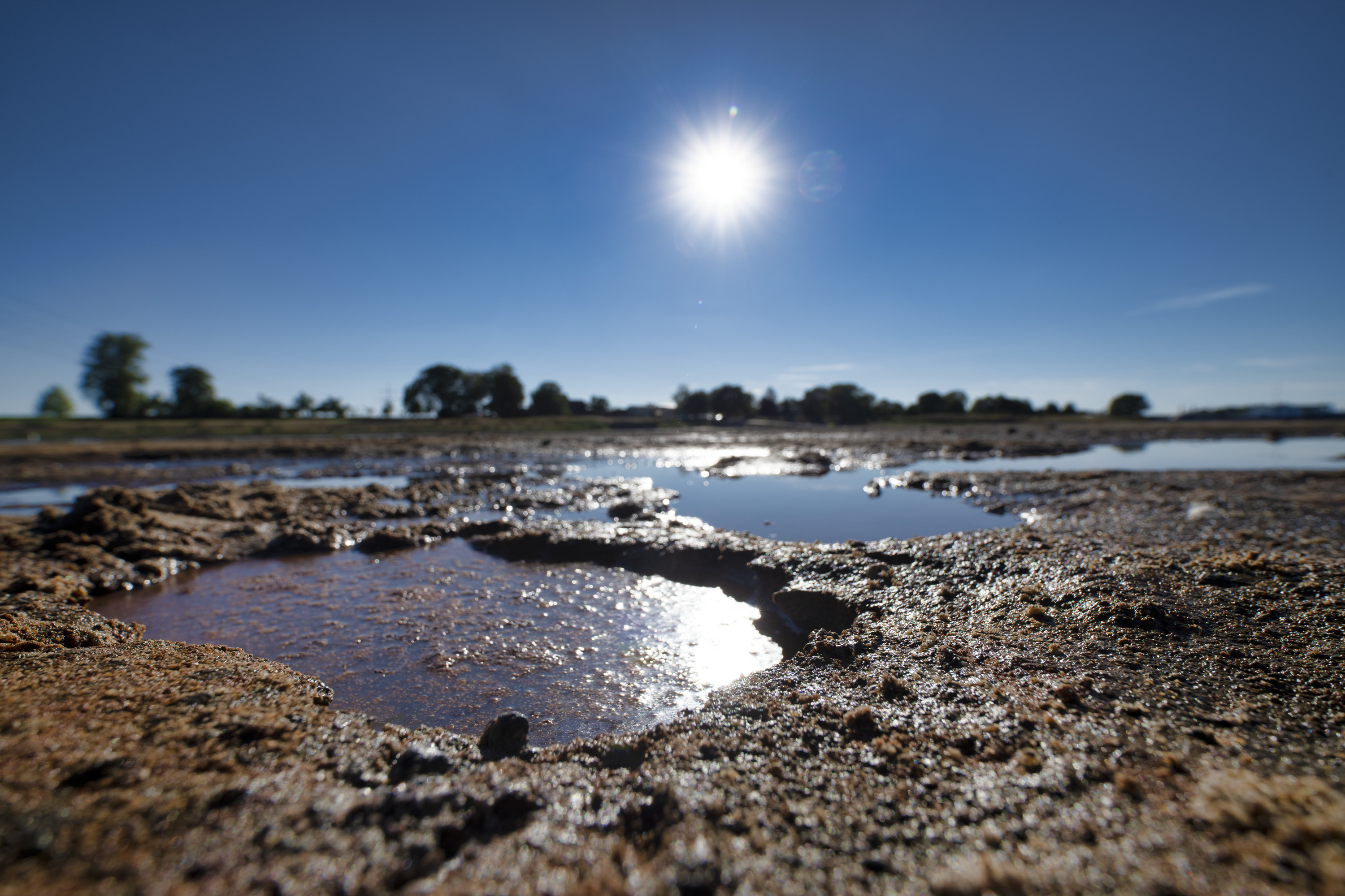 Flusslandschaft der Elbe während der Dürre 2018