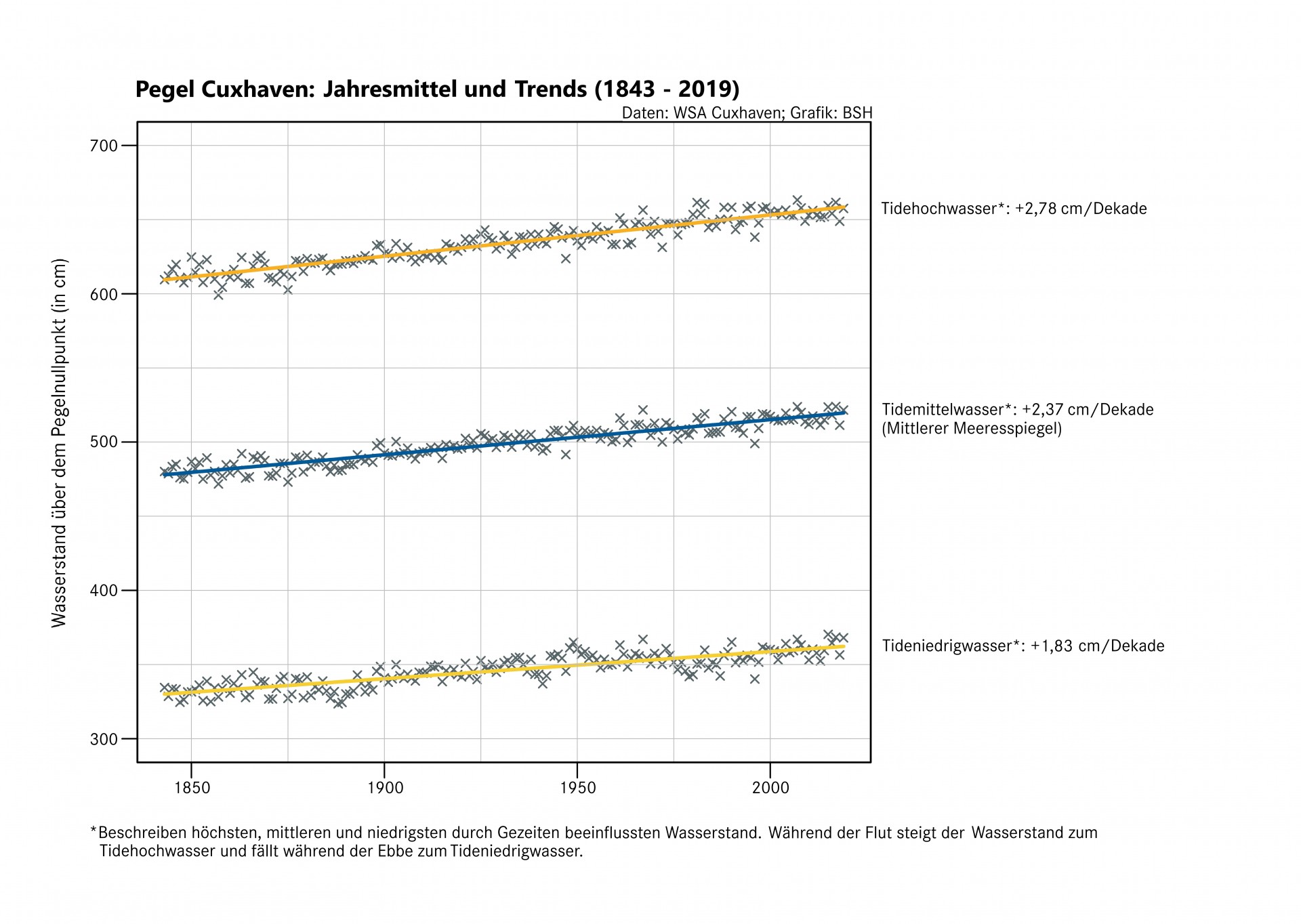 Die Grafik zeigt den Ansteig des Meerespiegels in Cuxhaven. Pro Dekade ist dier um etwa 2 cm angestiegen.