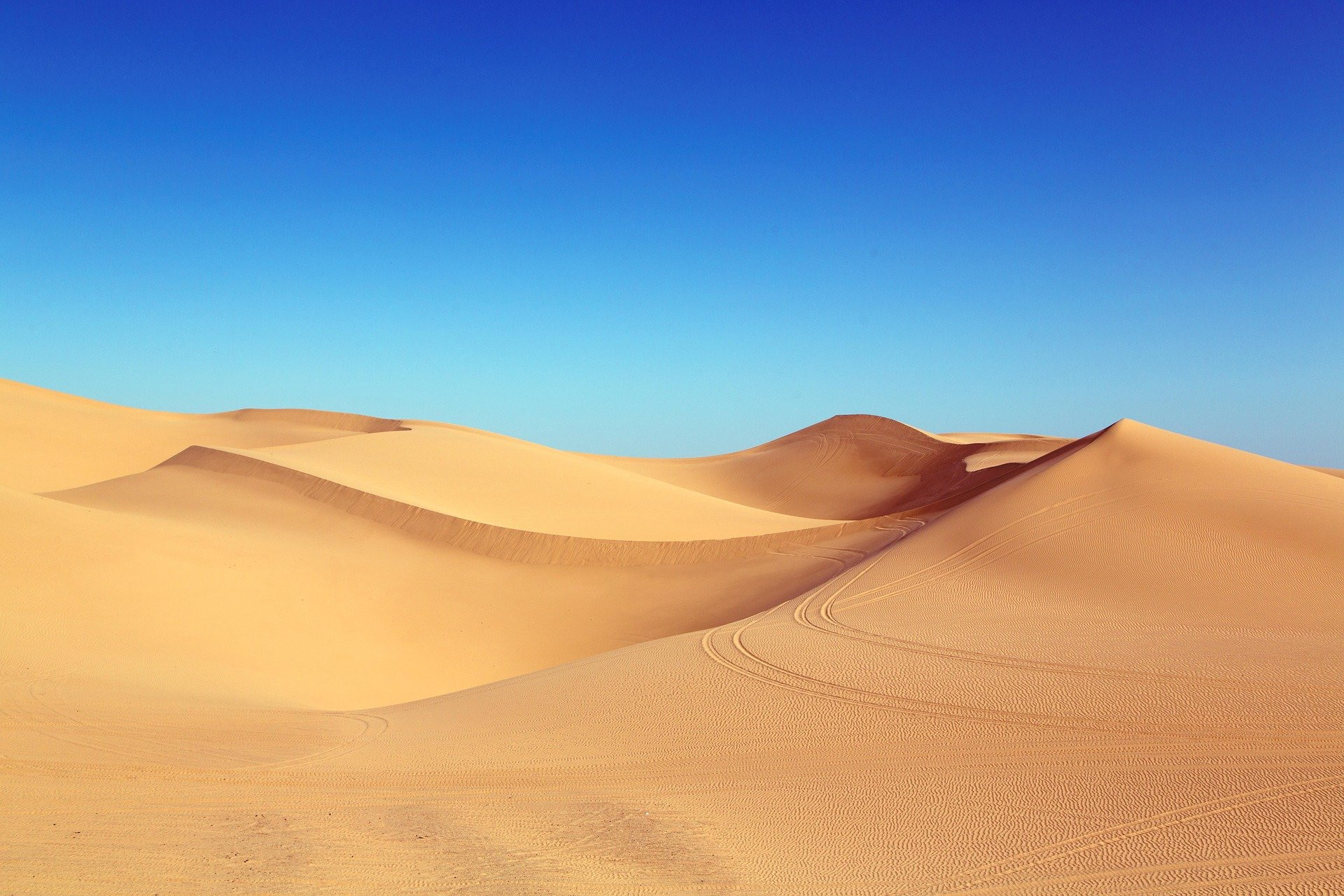 Golden sand dunes in the Sahara desert under a bright blue sky