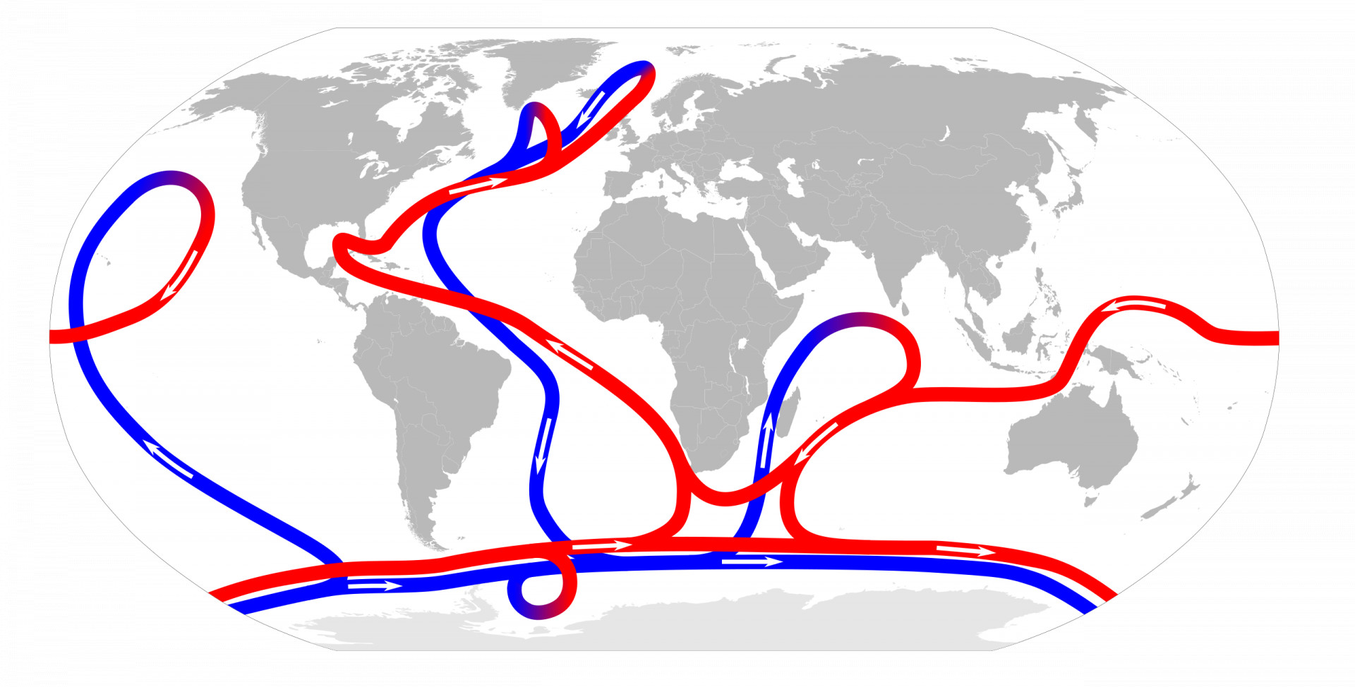 Red (warm surface) and blue (cold deep-ocean) lines on a white-grey world map indicate the path of the global ocean conveyor belt around the globe