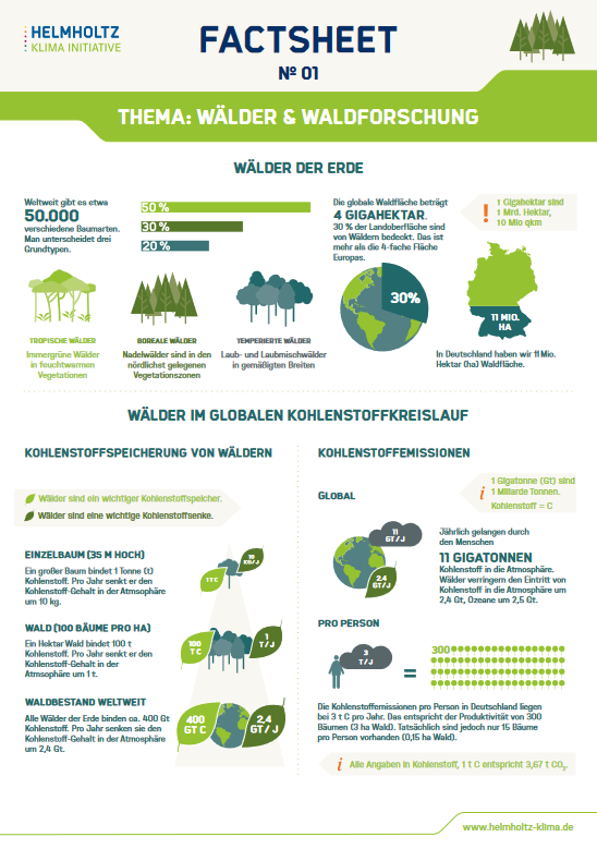 Cover: Factsheet No 01: Wälder und Waldforschung