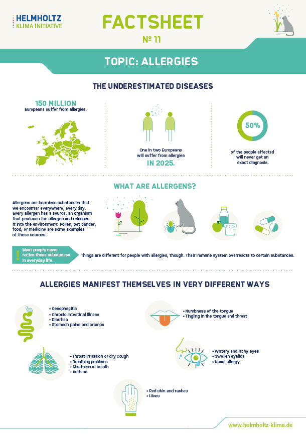 Factsheet Allergies