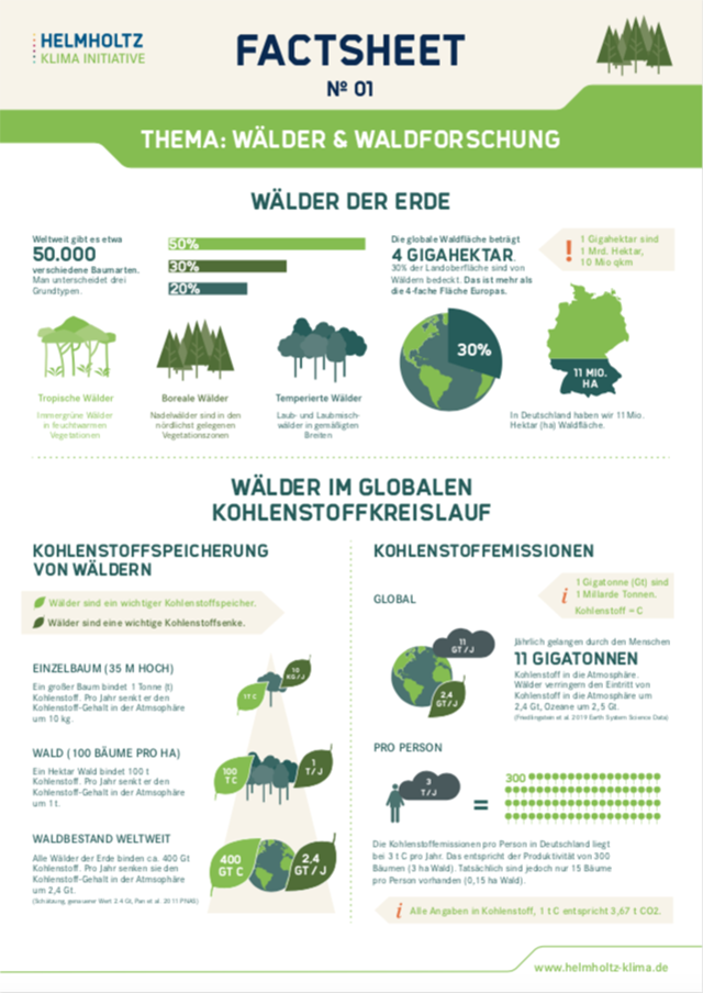 Cover: Factsheet No 01: Wälder und Waldforschung
