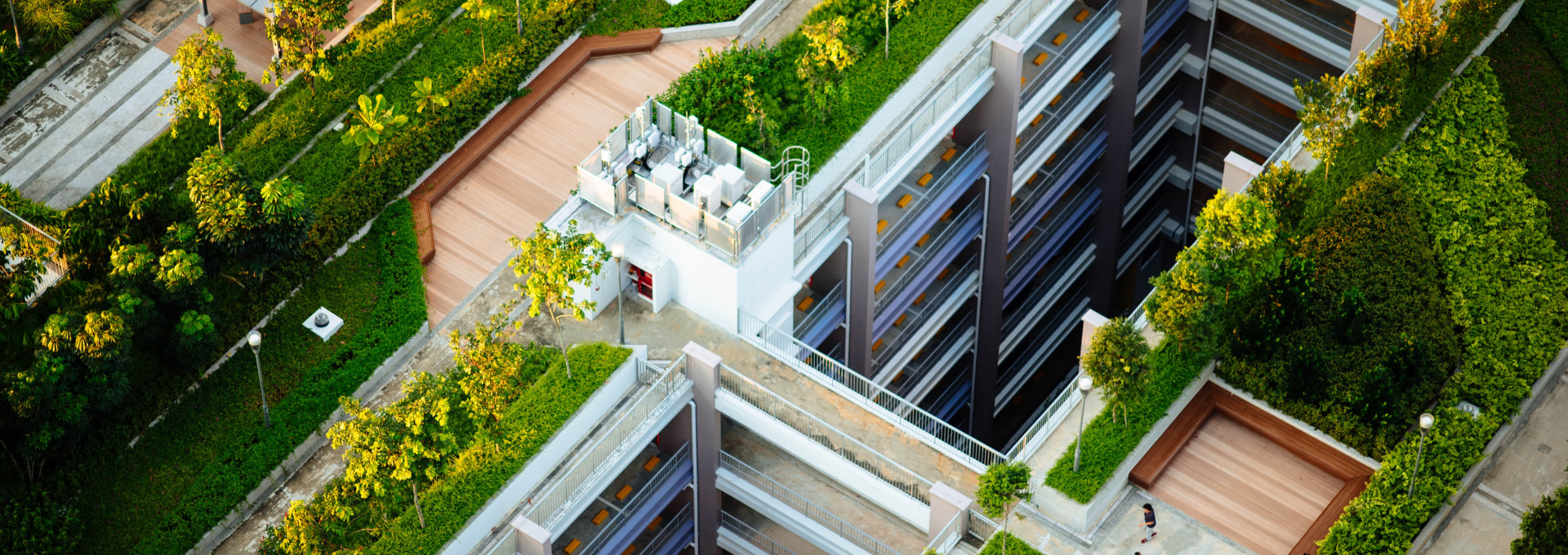 Roof greening. Trees and lawns have been planted on a roof.