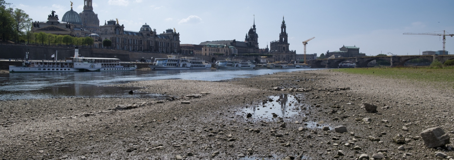 Trockenes Flussbett der Elbe in der Dresdener Altstadt