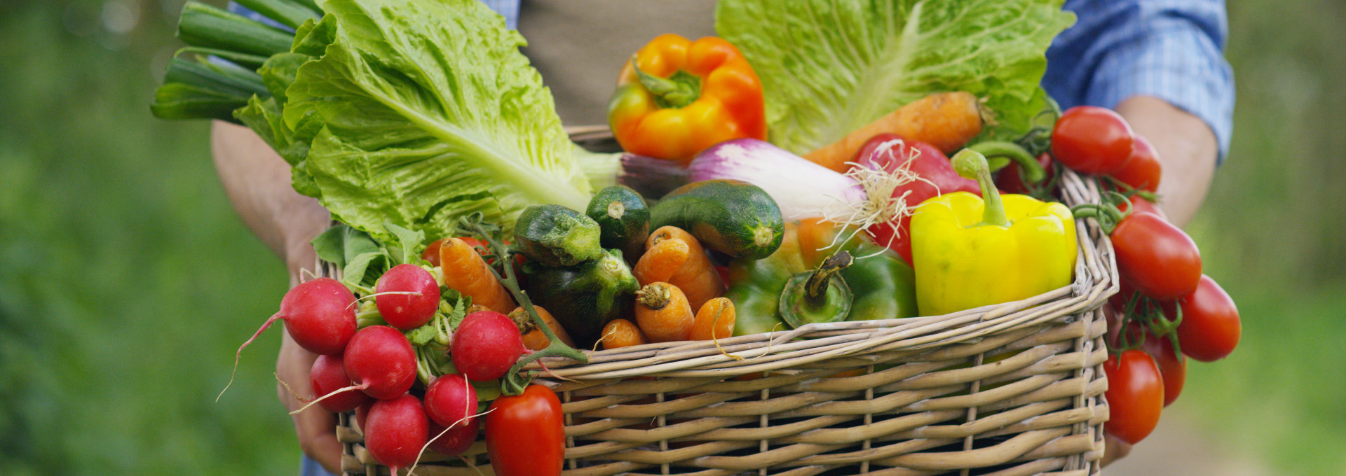 farmer holding fresh vegetables in a basket