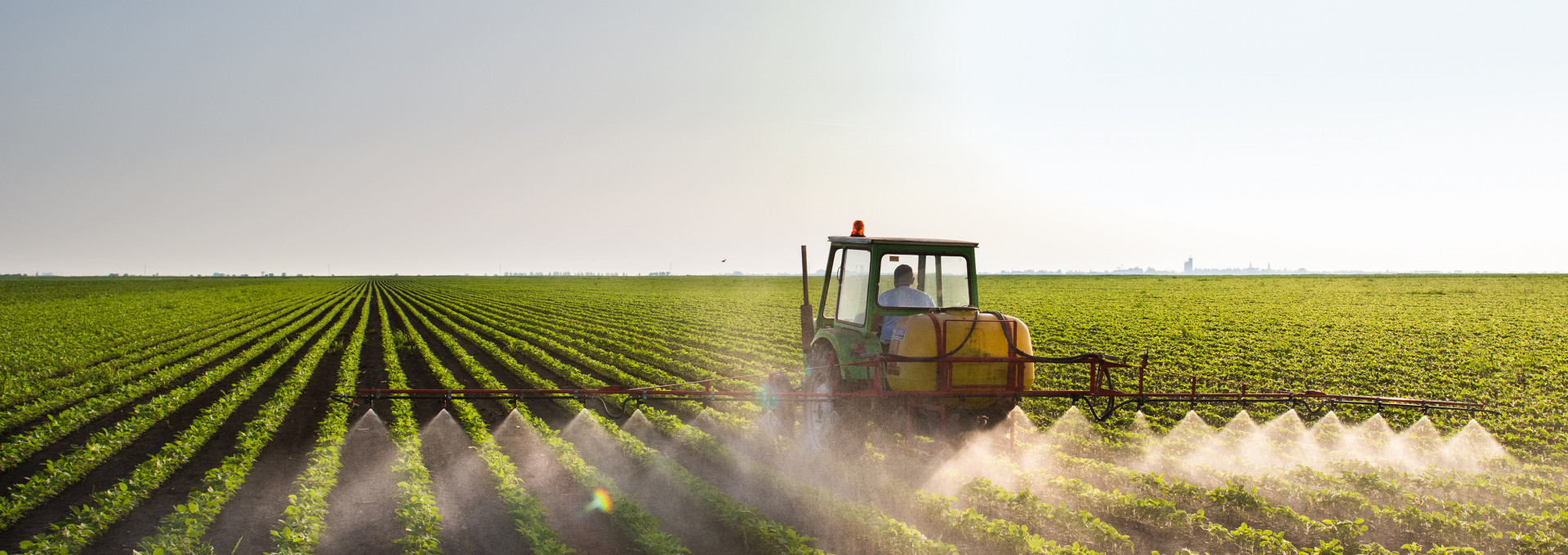 A tractor sprays pesticides on an agricultural field