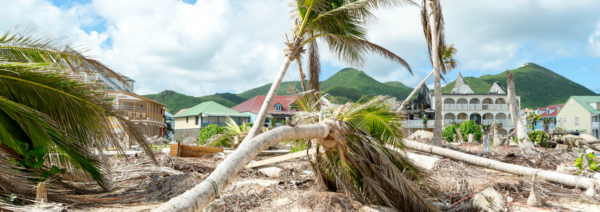 Ein Hurricane hat Häuser am Strand zerstört. Umgefallende Bäume liegen im Sand.