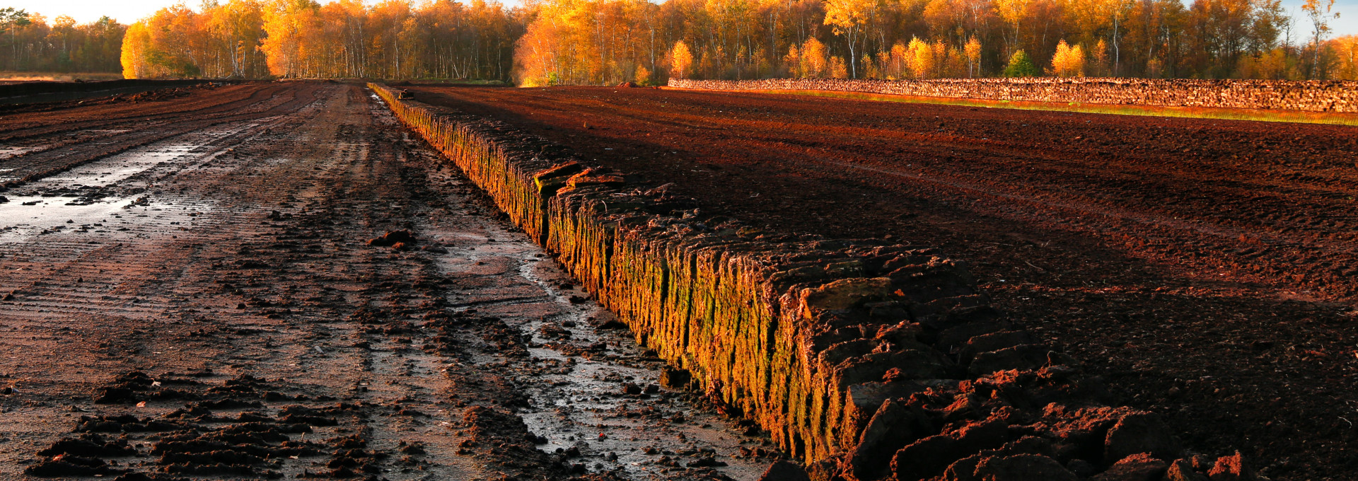 Reihen von gestochenem Torf an einer Abgrabungsstelle in einem Torfmoor in Nordwestdeutschland.