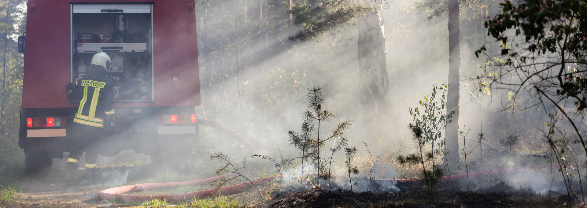 Brennender Waldboden bei Waldbrand