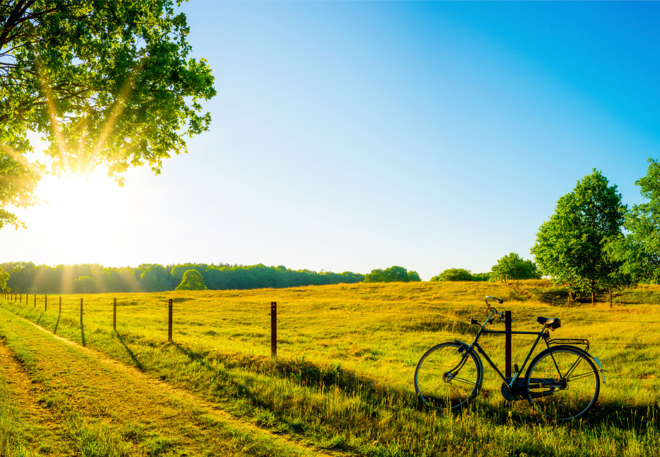 Grüne Landschaft mit Fahrrad im Vordergrund