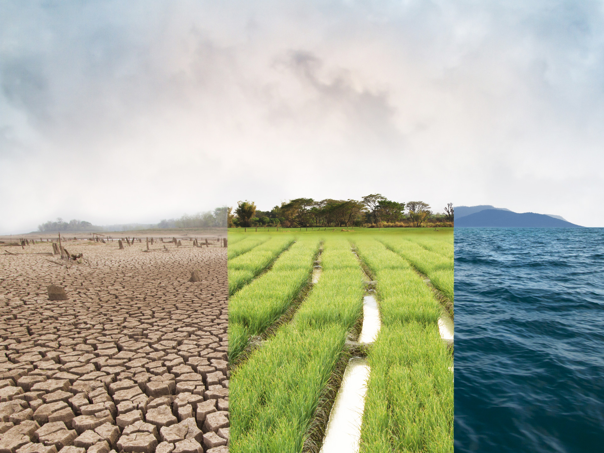 Klimawandel, Bildvergleich mit Dürre, Grünes Feld und Ozean-Metapher Naturkatastrophe, Weltklima und Umwelt, Ökologie-System