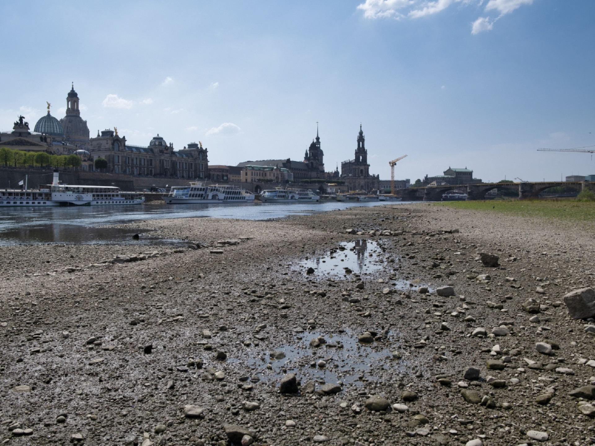 Trockenes Flussbett der Elbe in der Dresdener Altstadt