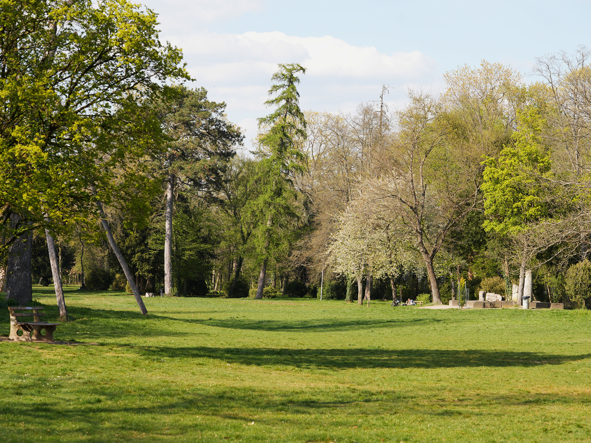 Wiese mit Bäumen aus dem Forschungsprojekt URBORETUM