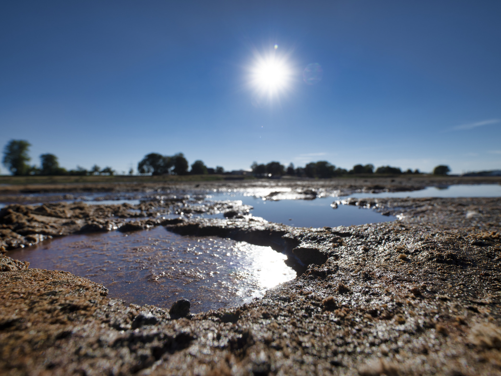 Flusslandschaft der Elbe während der Dürre 2018