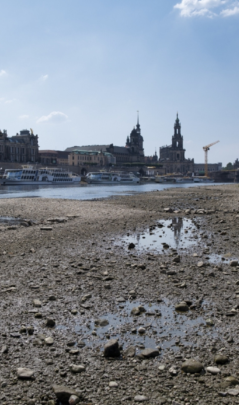 Trockenes Flussbett der Elbe in der Dresdener Altstadt