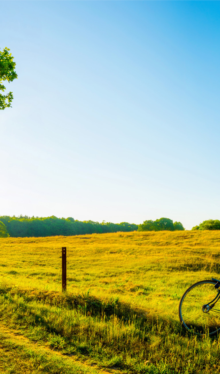 Grüne Landschaft mit Fahrrad im Vordergrund
