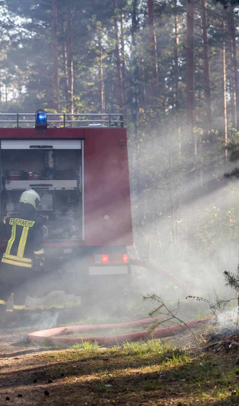 Brennender Waldboden bei Waldbrand