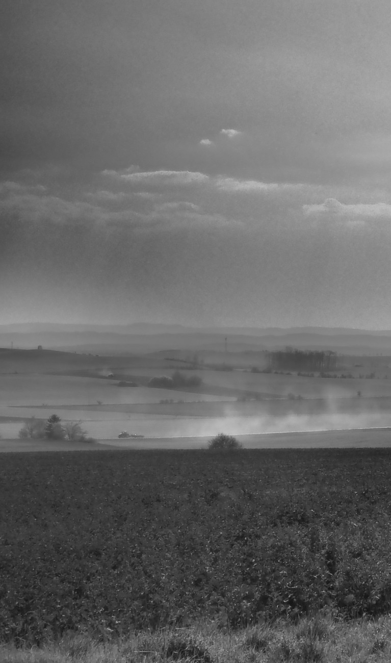 Landschaftsaufnahme, Felder, Schwarzweiß