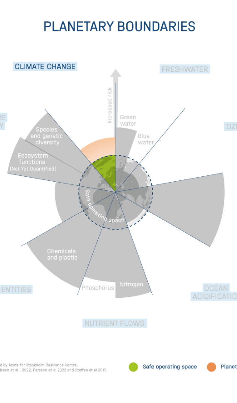 The nine planetary boundaries according to Rockström, Stockholm Resilience Center