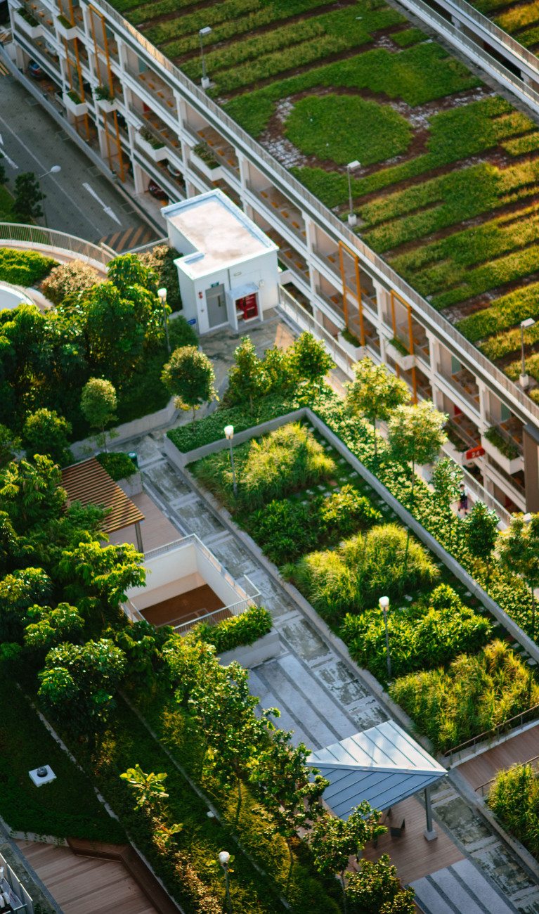 View from above: Roof gardens