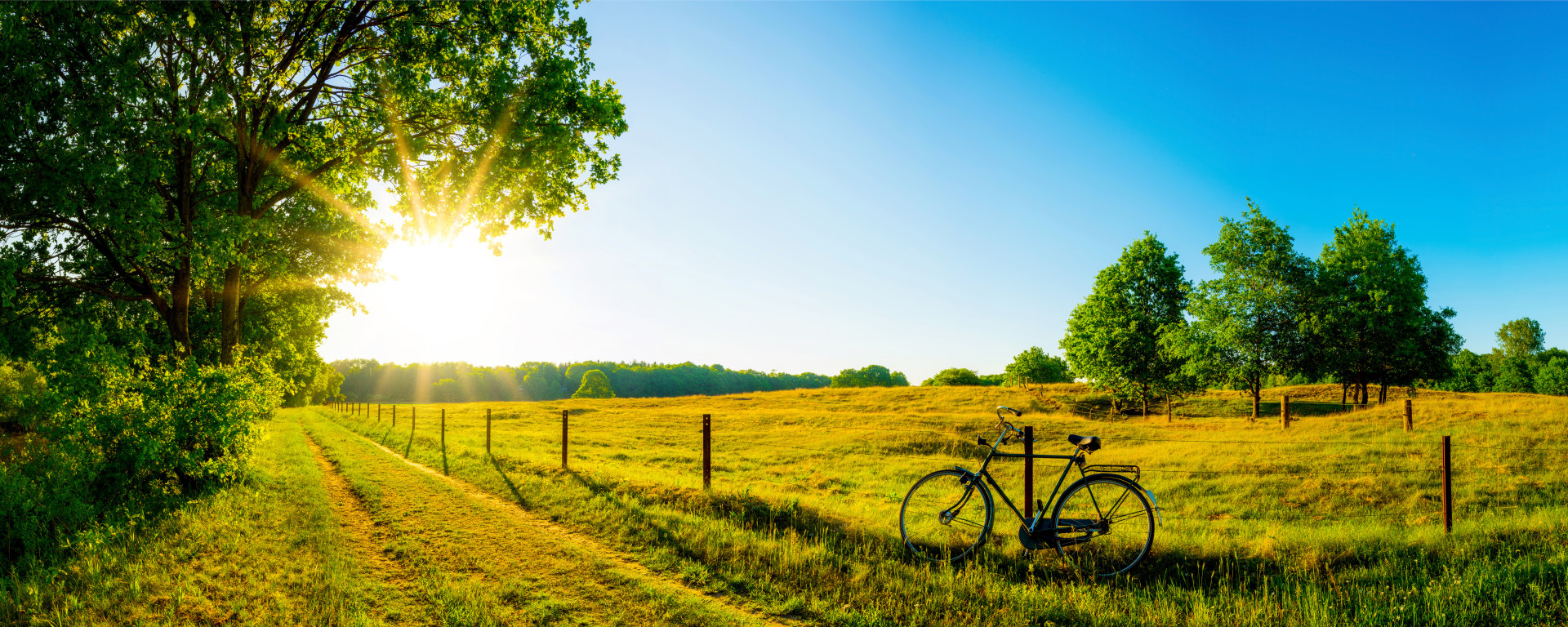 Grüne Landschaft mit Fahrrad im Vordergrund