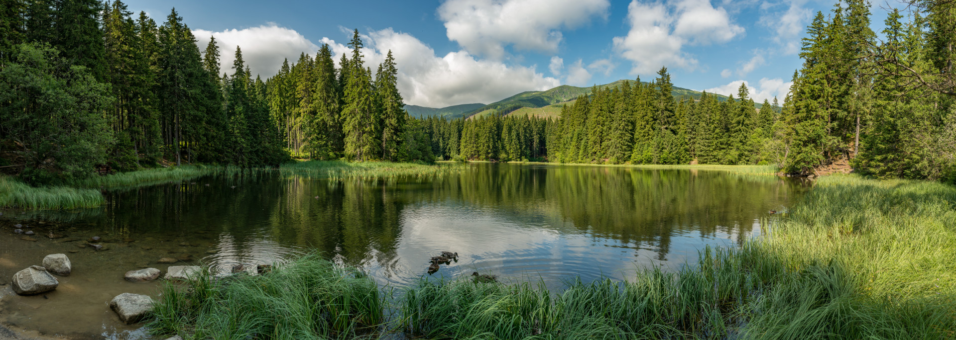 Waldsee Niedere Tatra