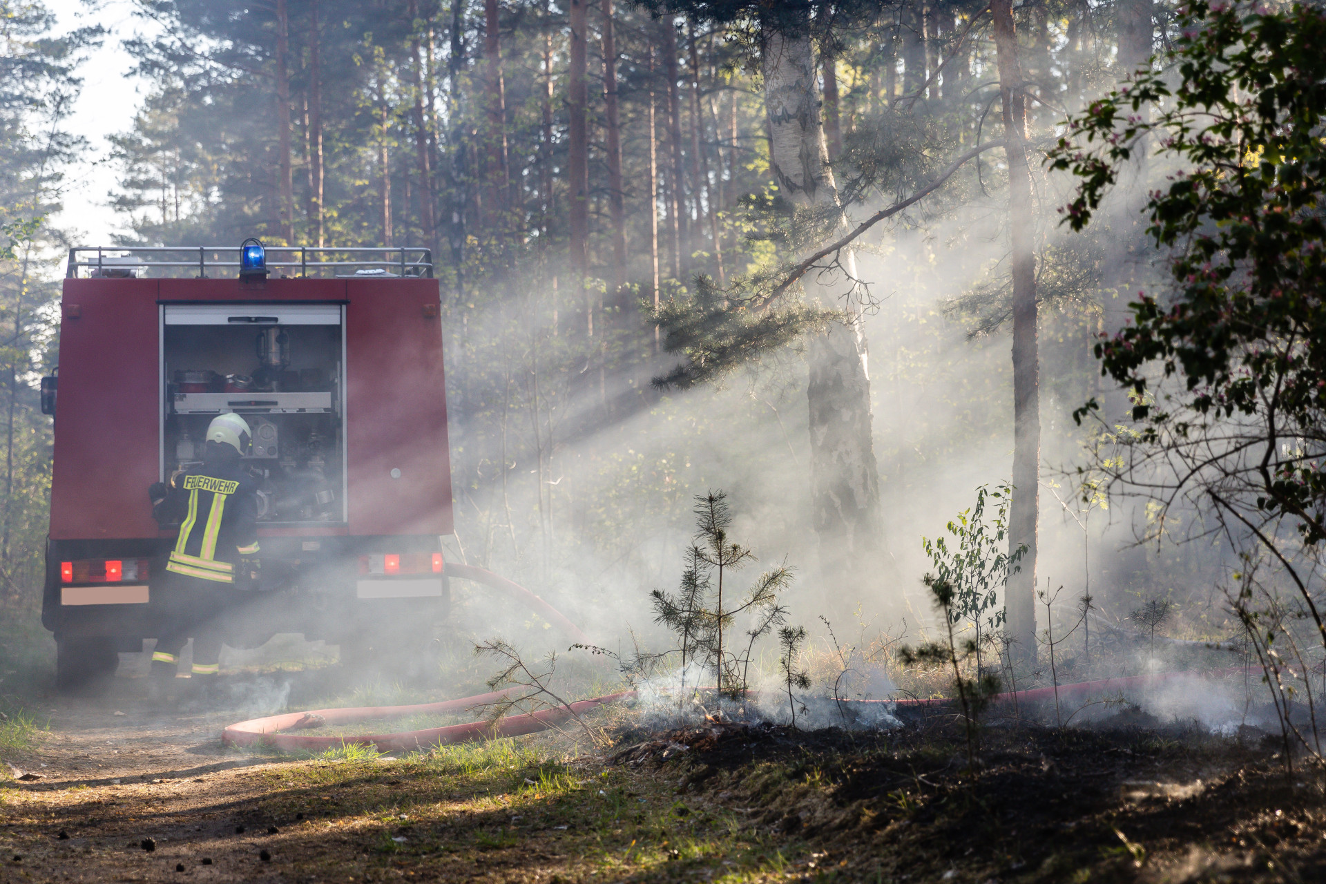 Brennender Waldboden bei Waldbrand