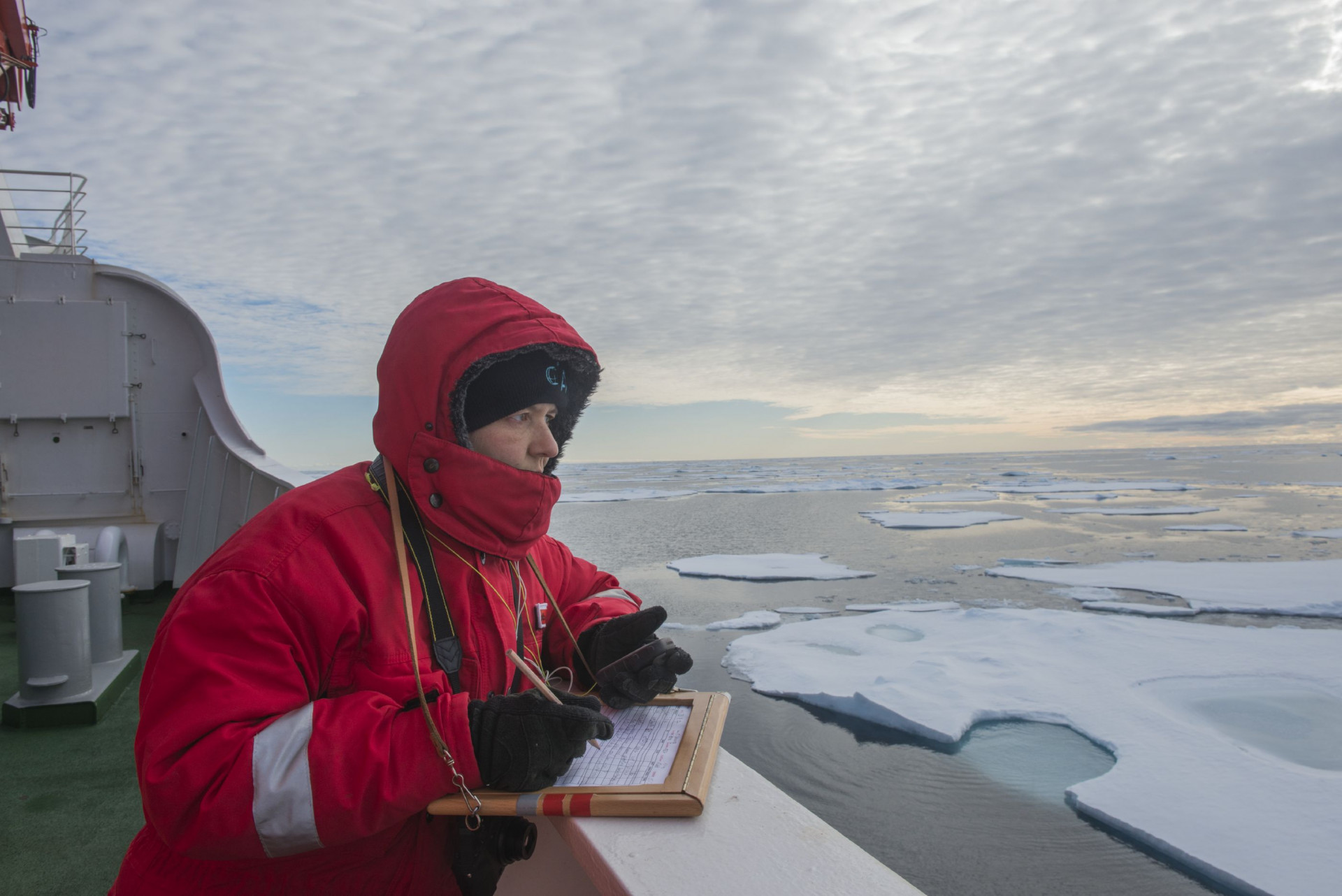 Wissenschaftlerin Melanie Bergmann in roter Jacke und mit Notizblock und Stift an der Reeling eines Schiffs. Auf dem Meer schwimmen Eisschollen