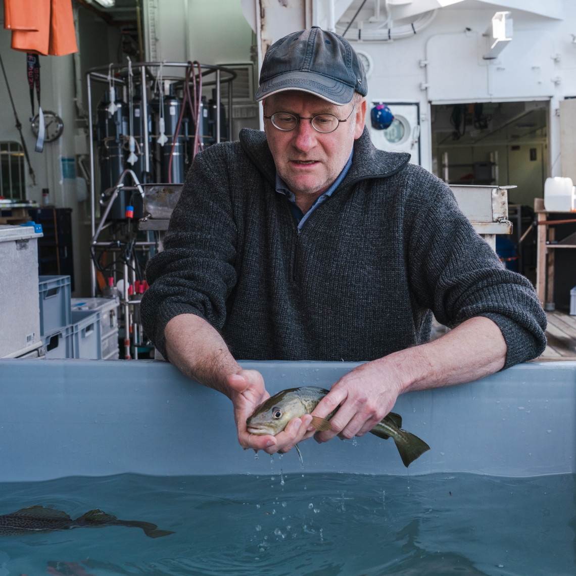 Thorsten Reusch on the research cruise in the Baltic Sea