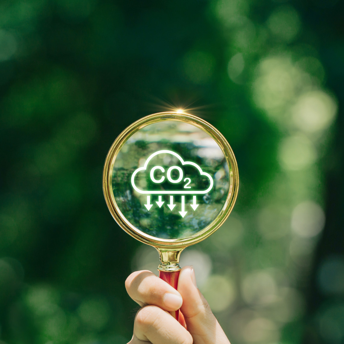Eine Hand, die ein Vergrößerungsglas mit einem CO2-Reduktionssymbol hält