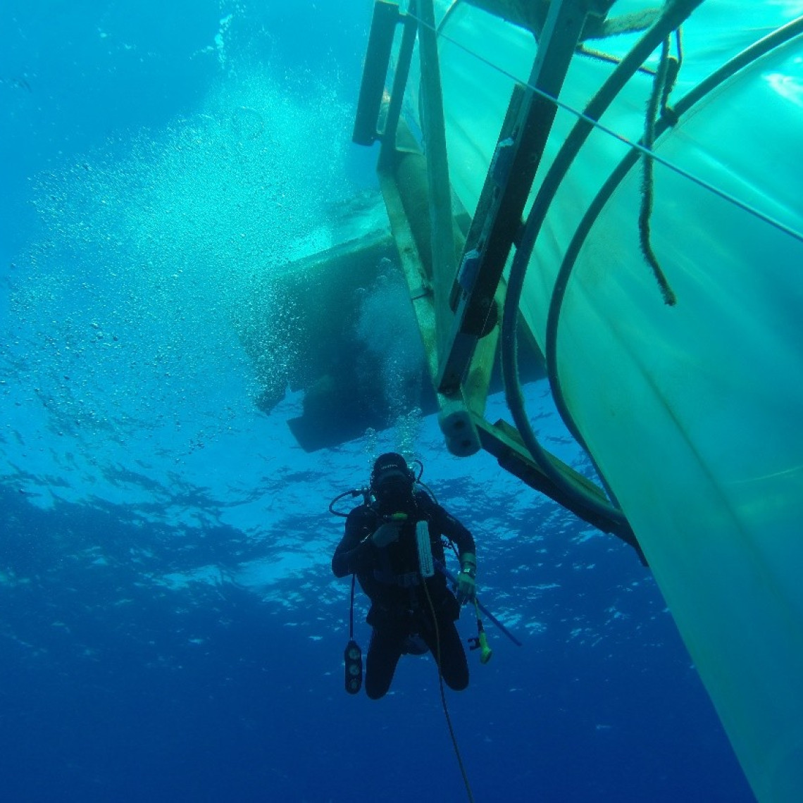 Mesokosmenstudie zur Alkalinitätserhöhung vor Gran Canaria