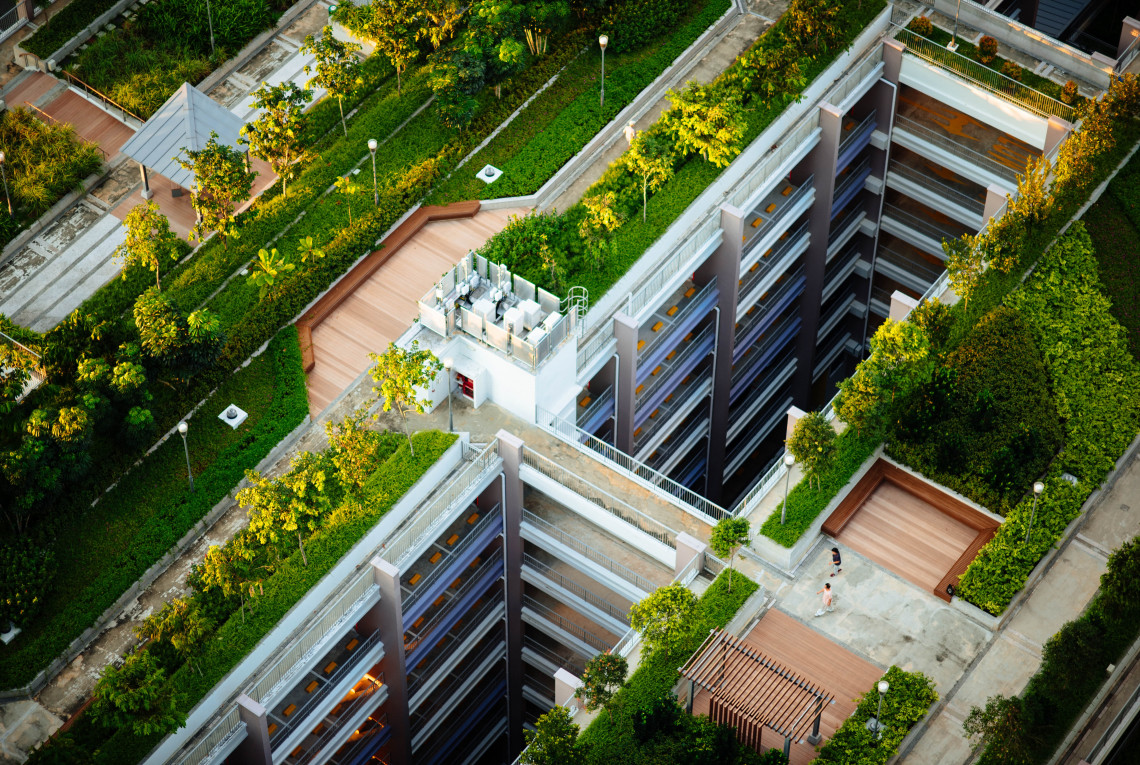 Roof greening. Trees and lawns have been planted on a roof.