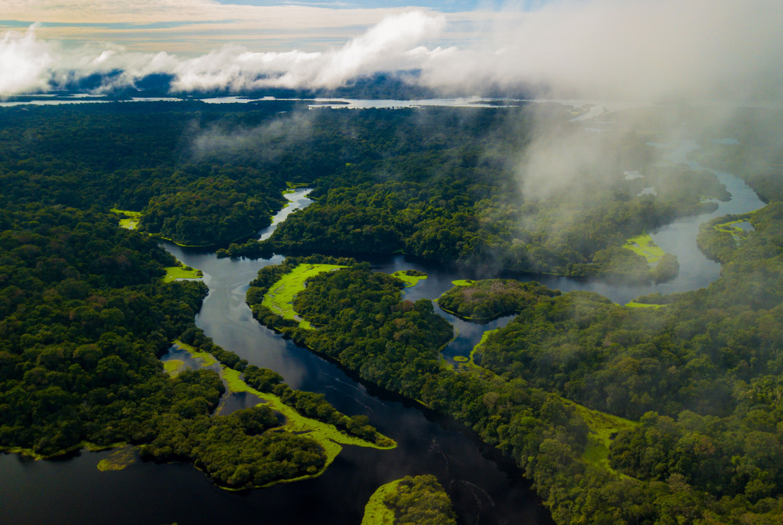Bird's eye view of the rainforest. Trees and water can be seen.