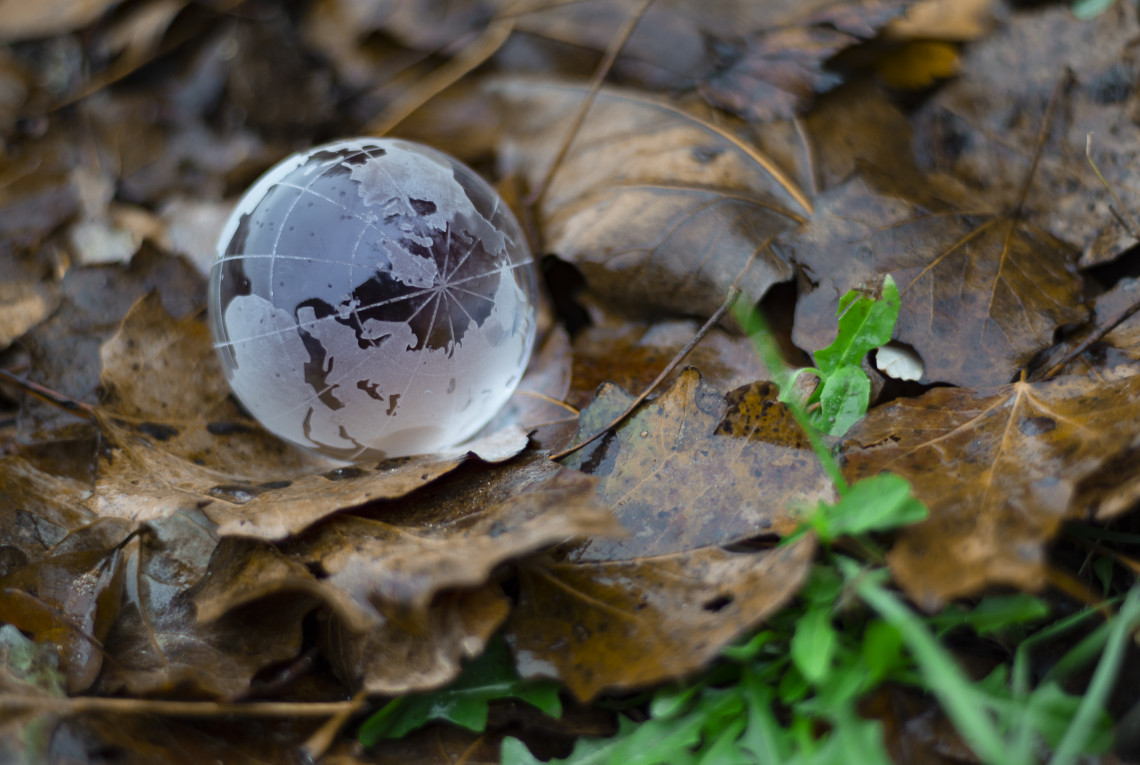 A glass globe lies in the brown coloured foliage
