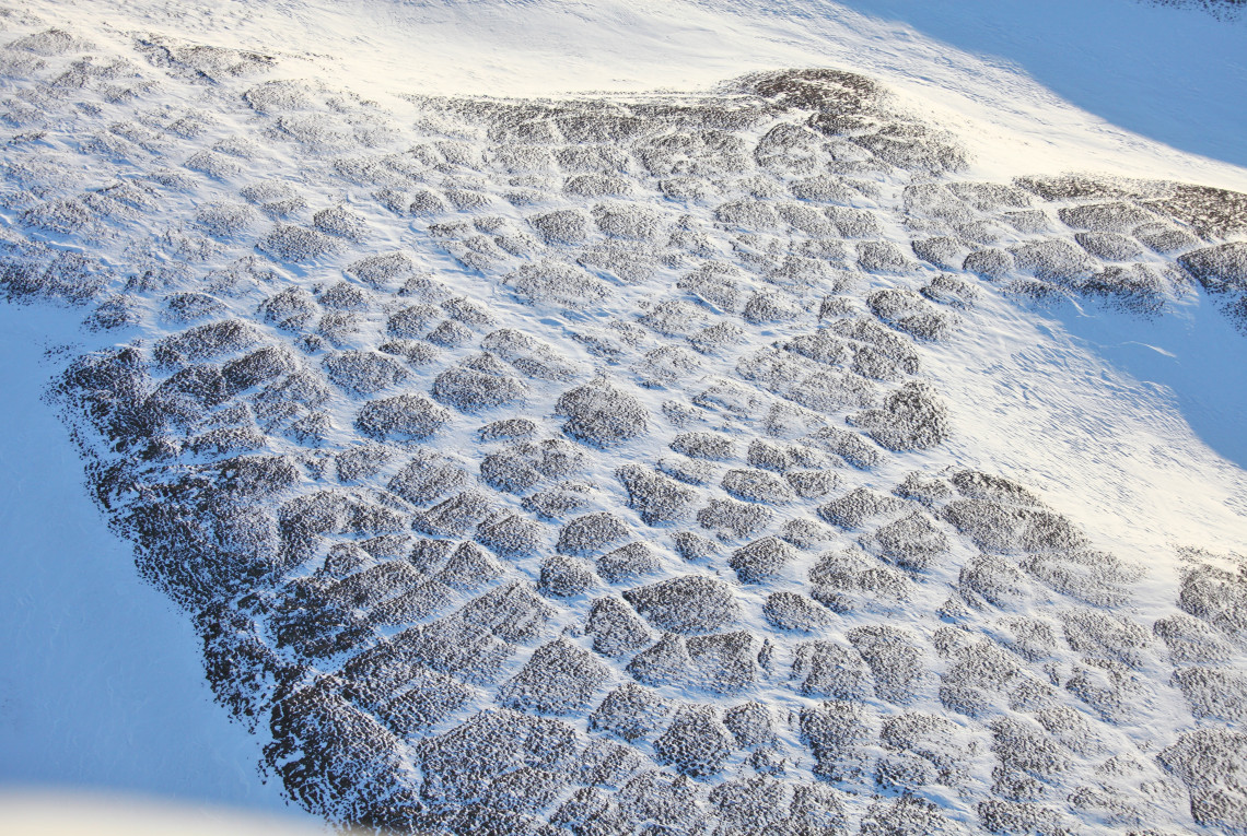 Arktischer Tundra Winter