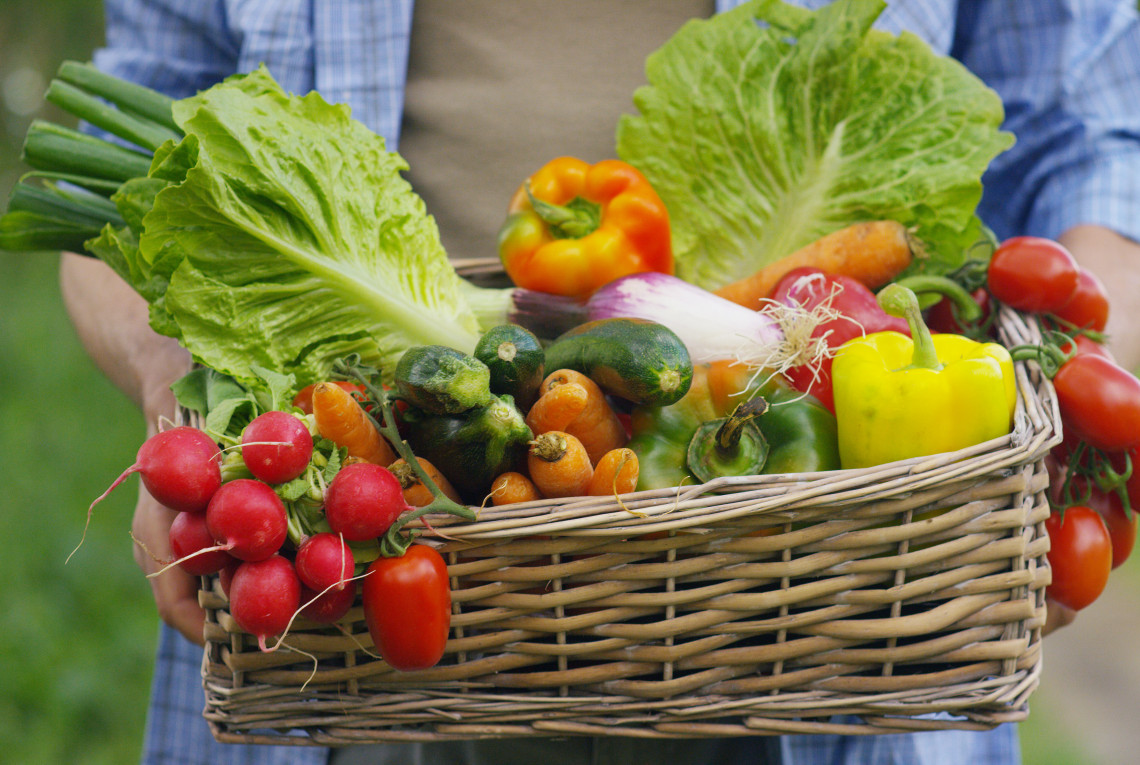 Bauer hält frisches Gemüse in einem Korb