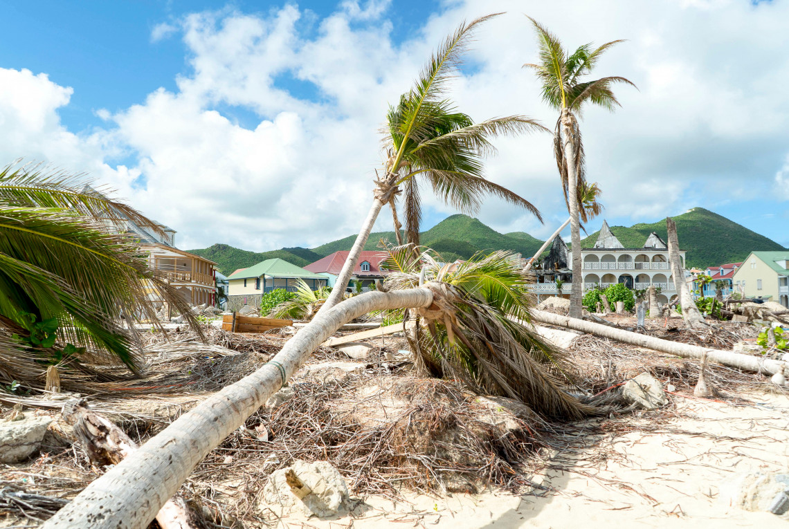 Ein Hurricane hat Häuser am Strand zerstört. Umgefallende Bäume liegen im Sand.