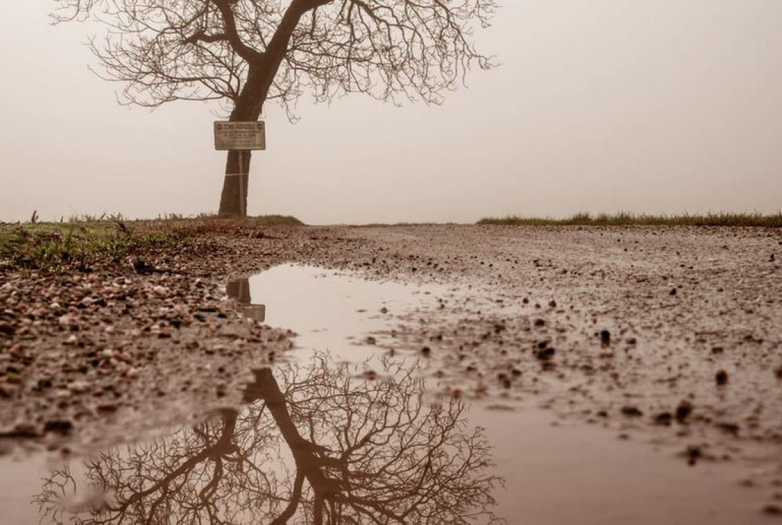 Nasse, maschige Felder, ein Baum