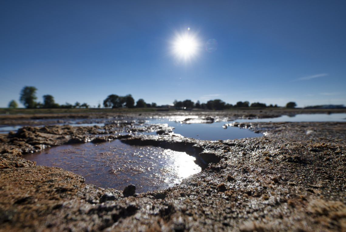 Flusslandschaft der Elbe während der Dürre 2018