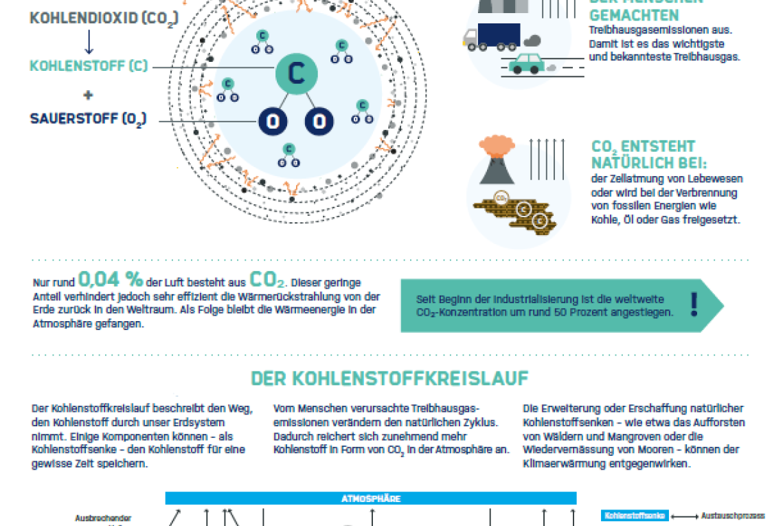 Erste Seite des Factsheets Kohlenstoffdioxid mit Grafiken