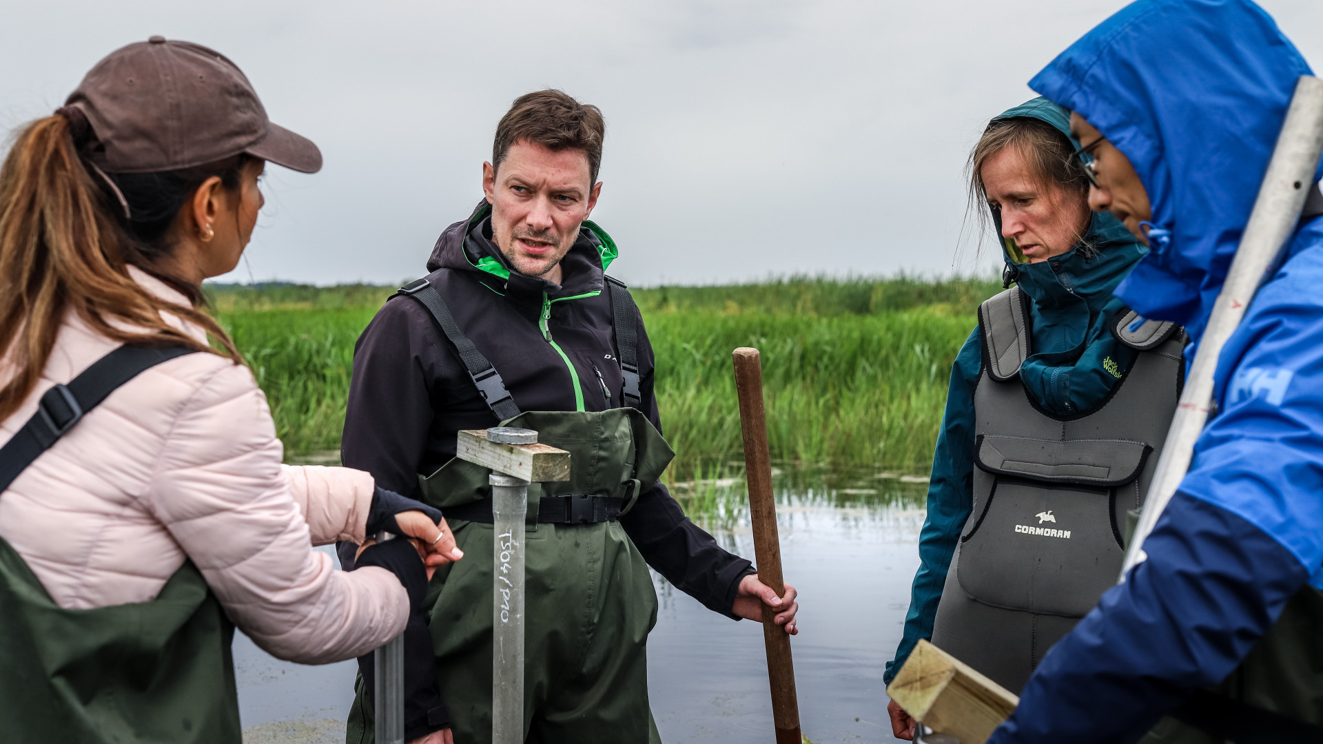 Four scientists in a peatland, dressed in outdoor clothing.