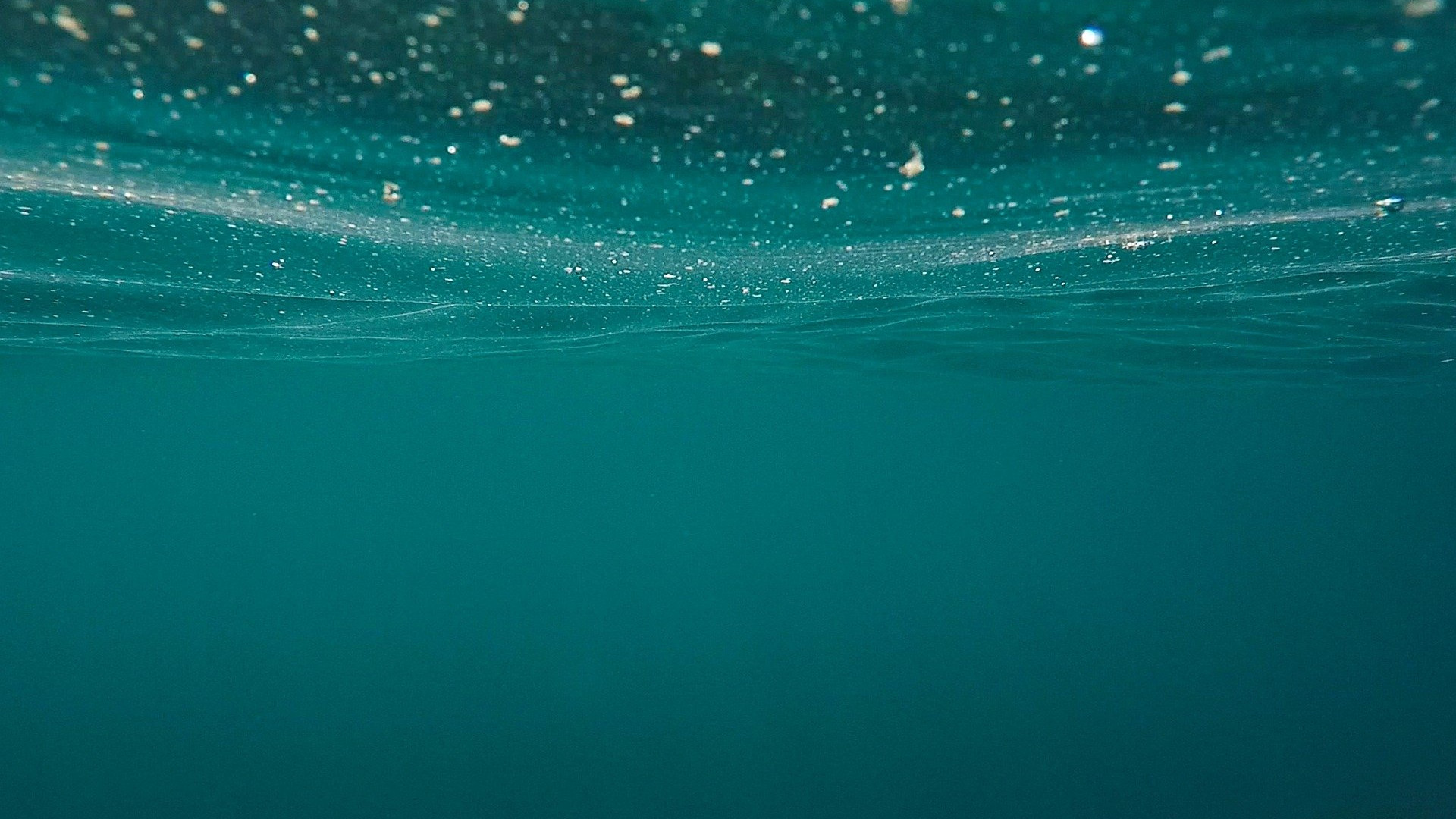 Meeresoberfläche mit kleinen Partikeln oder Lebewesen